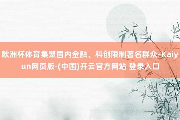 欧洲杯体育集聚国内金融、科创限制著名群众-Kaiyun网页版·(中国)开云官方网站 登录入口