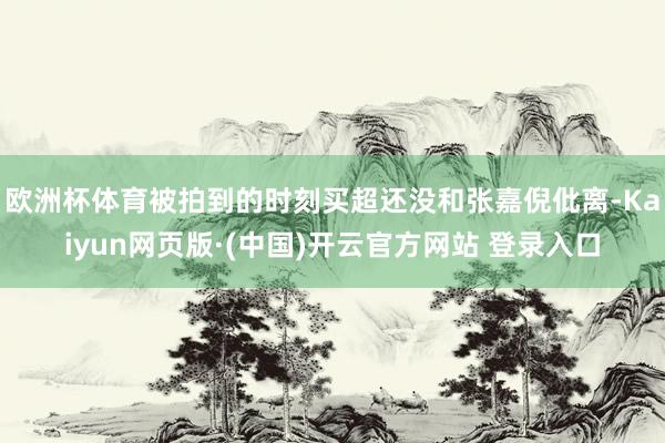 欧洲杯体育被拍到的时刻买超还没和张嘉倪仳离-Kaiyun网页版·(中国)开云官方网站 登录入口